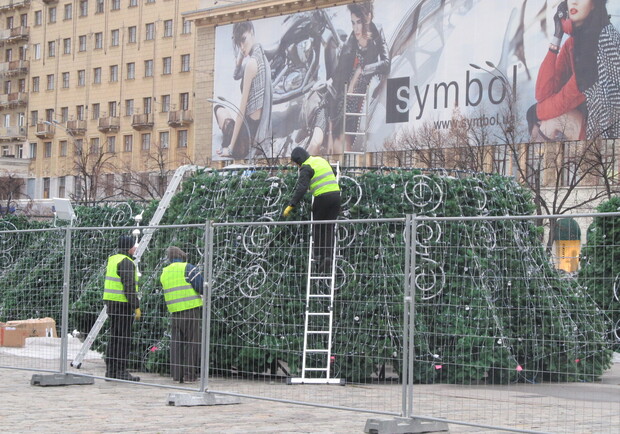 Новость - События - Фотофакт: на площади Свободы растет елка