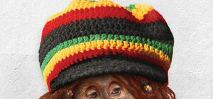 Раста-пятница: расслабляемся под регги от 