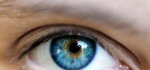 В Запорожье показали картины глазами слабовидящих людей