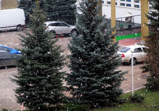 Новость - События - Фотофакт: в Харькове все чаще идет снег