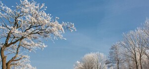 Природная аномалия – Северский Донец не замерзает в 30-градусный мороз