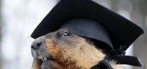 День сурка: какую погоду предсказал украинский зверек