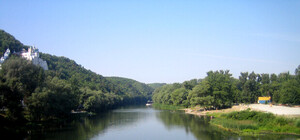 В Северском Донце гибнут рыба и бобры