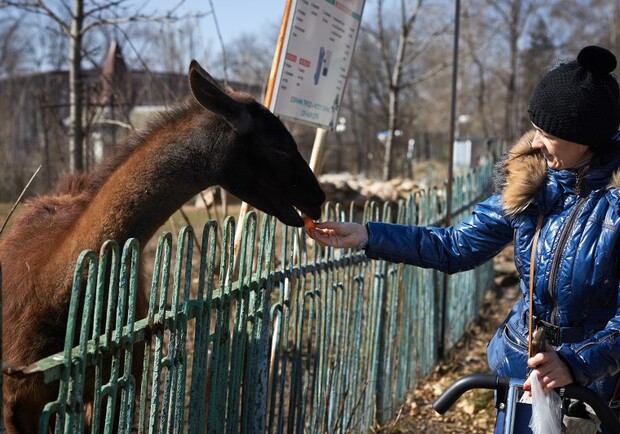 Новость - События - 8 марта жители Харькова спасали голодающих животных в зоопарке