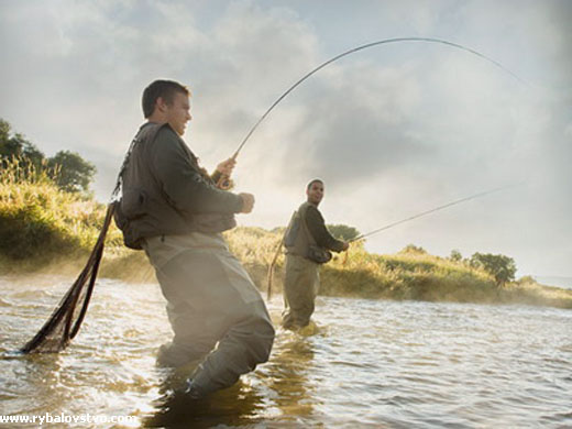 Ловить рыбу нельзя. Фото с сайта rybalovstvo.com.