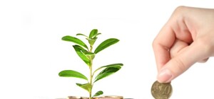 Храните ваши денежки: откровения банковского работника в профессиональный праздник