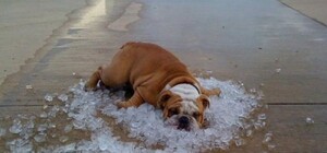 Испытание жарой: как харьковчане спасаются от летнего зноя