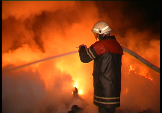 Пожарные смогли одолеть пламя. Фото с сайта mns.gov.ua.