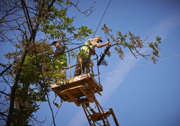 Опасные деревья срежут. Фото с сайта горсовета.