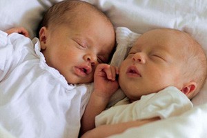 Всего родилось 218 малышей. Фото с сайта city.kharkov.ua.