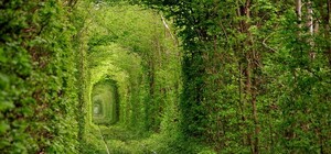 Гуманитарный коридор: что делает власть