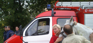 Под Харьковом МЧСники трактором спасали коня