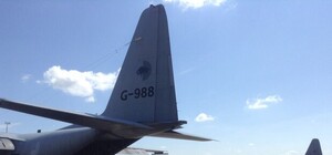 До пятницы тела всех погибших в авиакатастрофе отправят домой