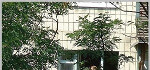 Фотофакт: киевлянка во время жары загорает топлесс на подоконнике