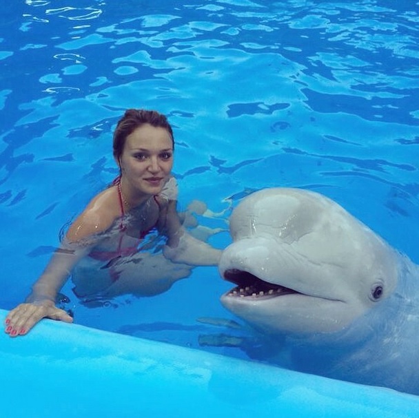 Новость - Люди города - Фотофакт: дочь Добкина устроила купание с китами