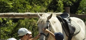 В зоопарке покажут конное шоу и бесплатно покатают на лошадях
