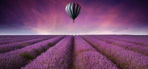 В Крыму открылся фестиваль 