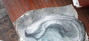 Почем Ильич: харьковчане продают ухо Ленина с аукциона