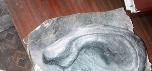 За ухо Ленина дают 75 тысяч гривен, а нос активисты хотят выменять на БТР у Кернеса