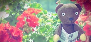 Прочитано о Харькове: что пишут и говорят о городе утром 29 октября