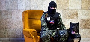 Польша завела дело на 