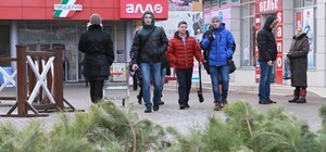 Привозные елки в Харькове дешевле местных