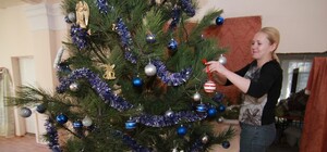 Переселенцы в Харькове встретят Новый год под крымской сосной