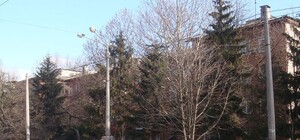 Марафон продолжается: возле одесского роддома перекрыли дорогу и искали взрывчатку