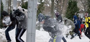В парке КПИ студенты устроили снежное побоище. ВИДЕО