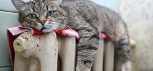 Где в Луганске можно заплатить за отопление: список адресов