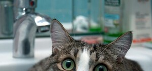 Запасайся: микрорайоны Одессы оставят без воды