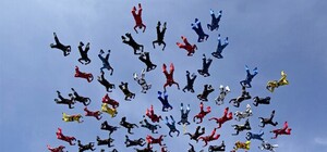 Собрали самую большую фигуру: харьковчане-парашютисты установили мировой рекорд