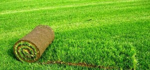 В Симферополе 