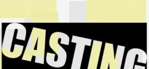 Внимание кастинг: Для съемок в фильме нужна красотка из Запорожья