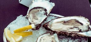 Вход на очередной фестиваль 