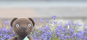 Прочитано о Харькове: что пишут и говорят о городе утром 26 июня