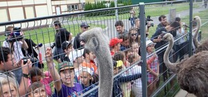 Как это выглядит: в Межигорье открылся детский лагерь