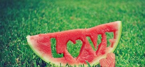 Вихідні у Львові: Zaxidfest, Свято хліба, японський фестиваль та велоквест