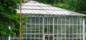 У центрі Львова зведуть підземний паркінг та відновлять оранжерею