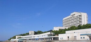 Санаторий Коломойского в Крыму 