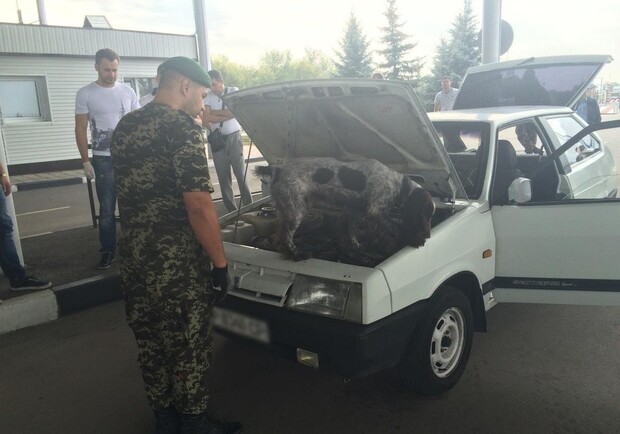 Фото пресс-службы Государственной пограничной службы Украины