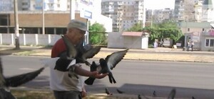 Старик-голубь живет на поселке Котовского