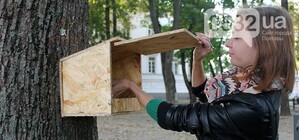 Фотофакт: в Студенческом парке восстановили домики для буккроссинга