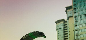 На Осокорках мужчина прыгнул с крыши с парашютом