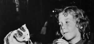 Львів'янину на замітку: які результати показав  незалежний тест на якість молока