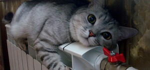 У Львові призупинили подачу опалення