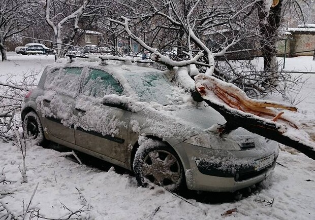 Фото Вячеслава Мавричева