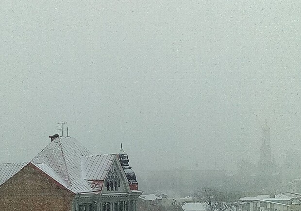 Новость - События - Харьковчане выкладывают в соцсети фото предновогоднего снега