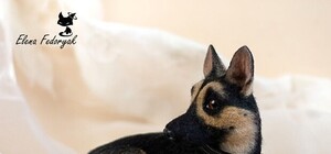 Валяние из шерсти помогло бывшему бухгалтеру обрести свободу