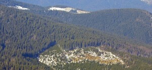 Як вирубують Карпати: шокуюча аерозйомка